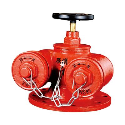 SQD多用式消防水泵接合器（地上式）