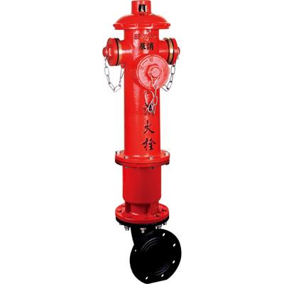 SS100-65-1.6地上消火栓